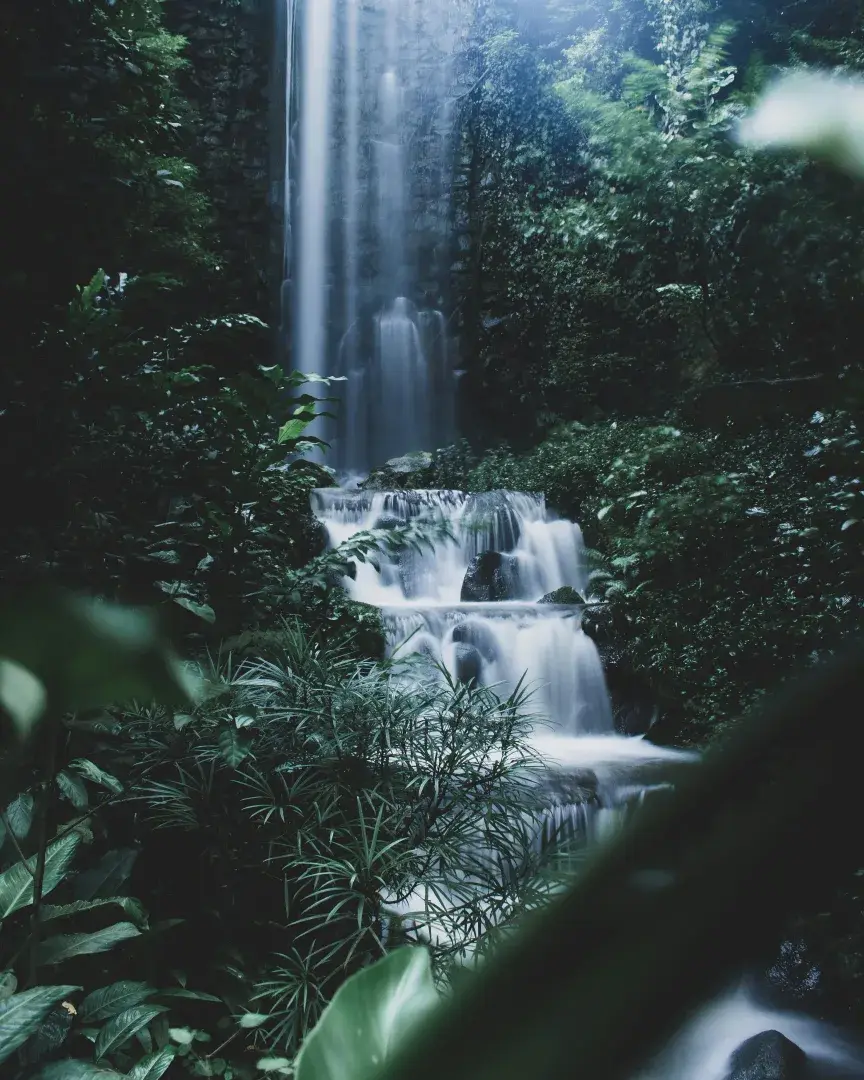 Bali Nature